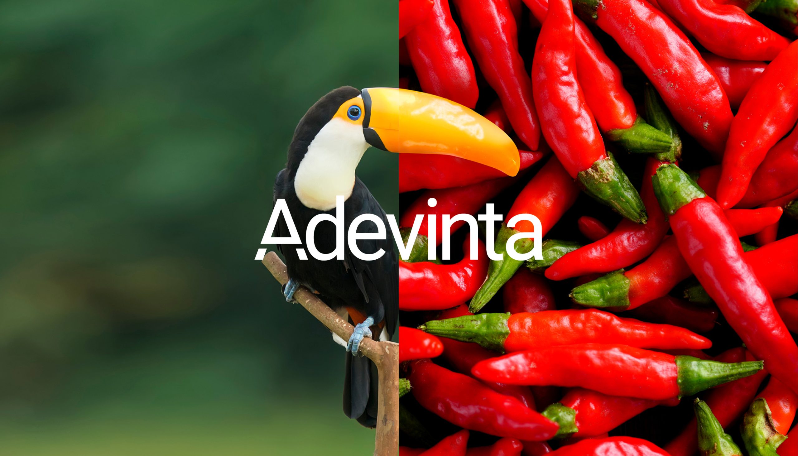 Adevinta — Matchmaking